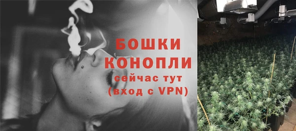 метадон Сафоново